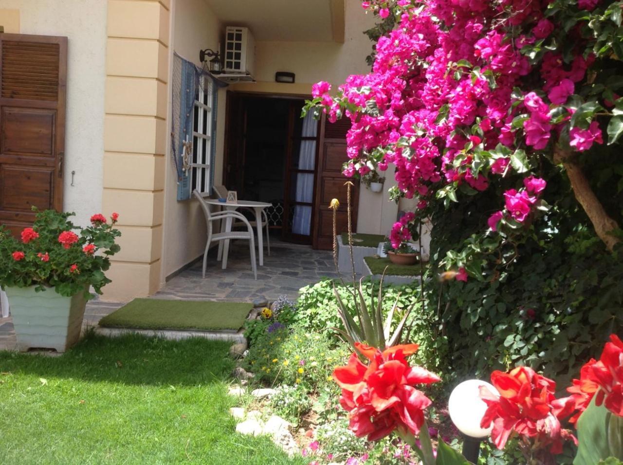 Asterias Studios & Apartments Kalyves Exterior photo